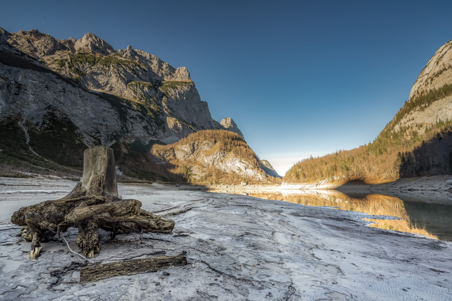 Hinterer Gosausee Baumstamm Rudikainphotografie